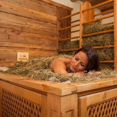 ホテル Wellness & Alpenhof 4*